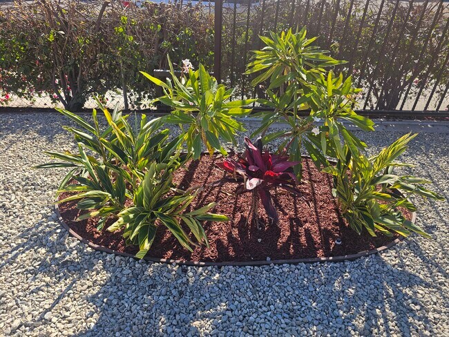 Building Photo - 1158 W 1st St