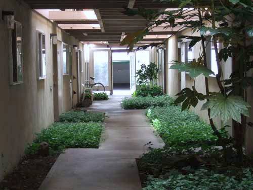 Building Photo - Campus Apartments