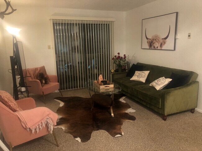 Living Room - 941 Calle Mejia