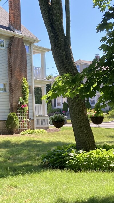 Building Photo - 260 Waverley Ave