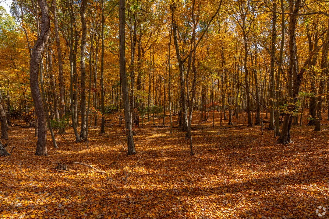 Smithtown