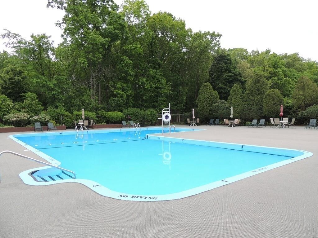 217 Rock St, Norwood, MA 02062 Condo for Rent in Norwood, MA