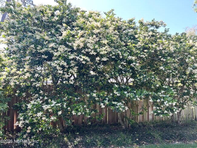 Building Photo - 108 Abalone Ln E