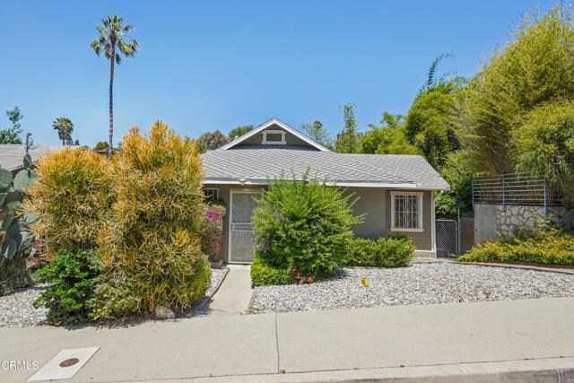 Primary Photo - 1639 McCollum St