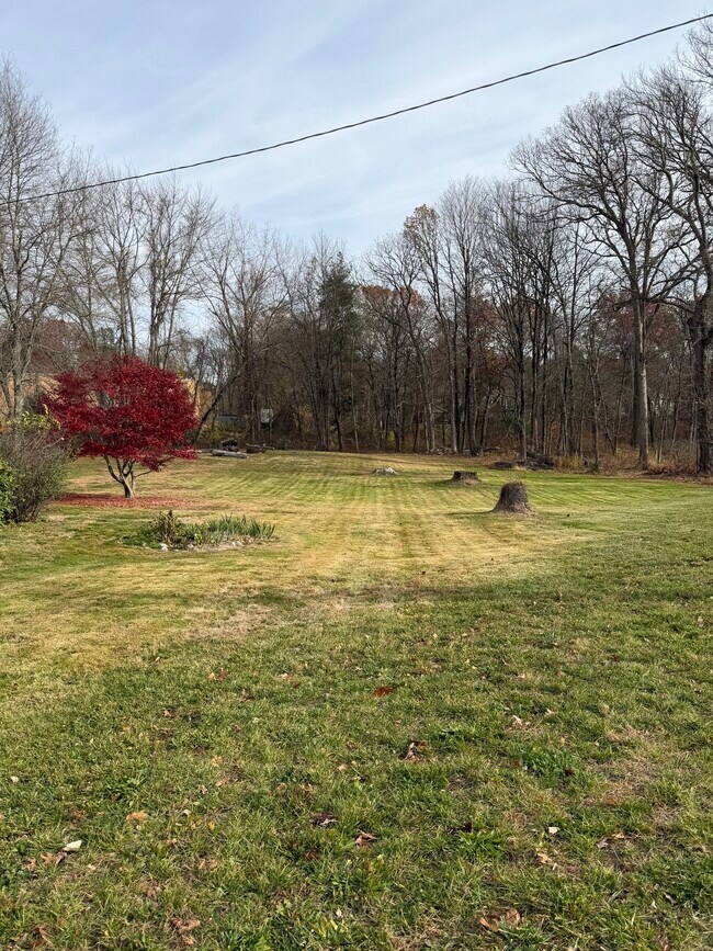 Foto del edificio - 432 Pepper St