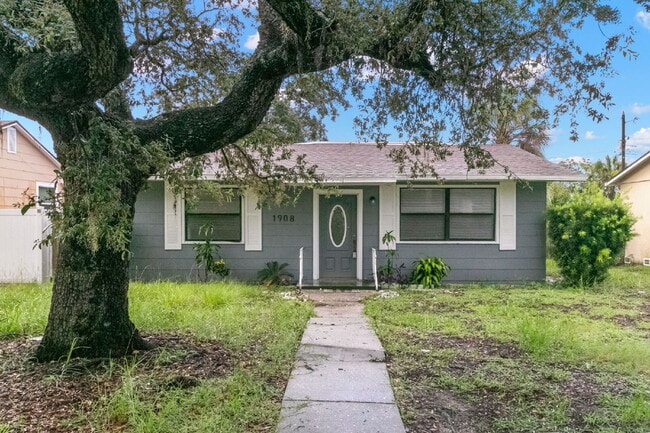 Building Photo - NEWLY RENOVATED Home For Rent in St Petersburg!