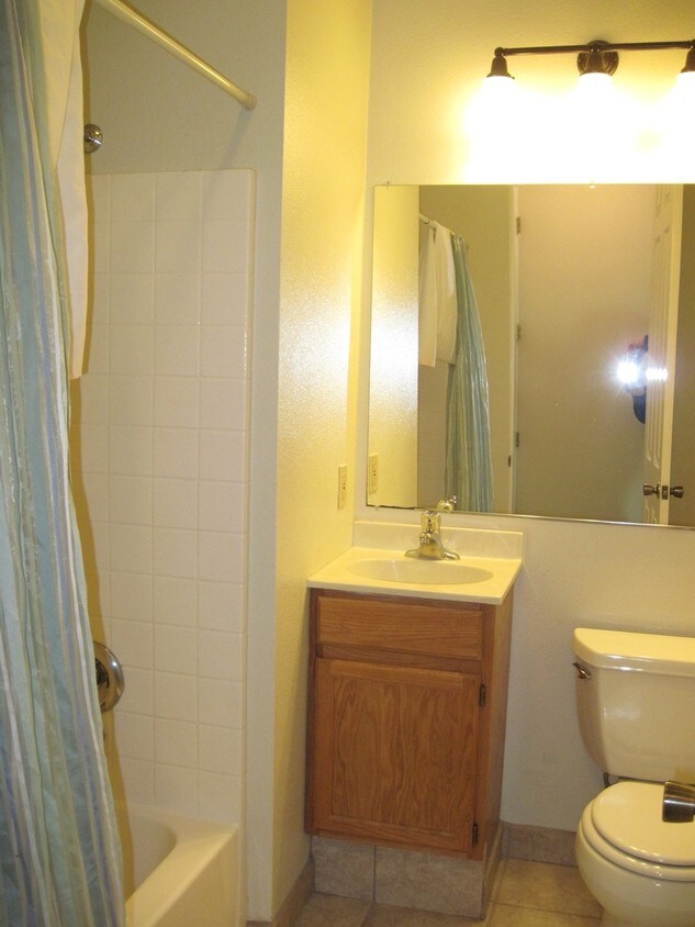 Bathroom - 1017 Castro St