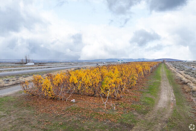 Wine production and other agriculture is a large part of the city of Kennewick.