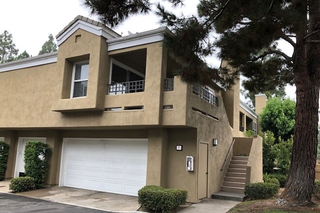 Afuera - 40 Vassar Aisle