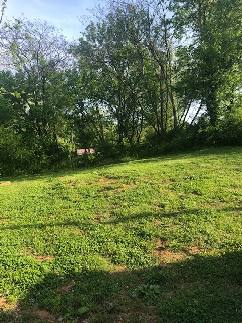 Large backyard - 213 S Old Sevierville Pike