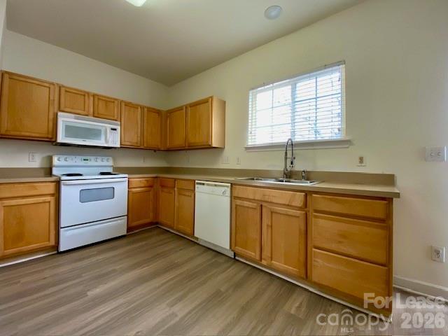 Foto del edificio - 9224 Aloysia Ln