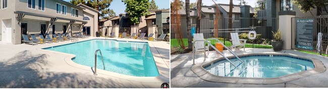POOL AND SPA - 1824 Firethorne Plz