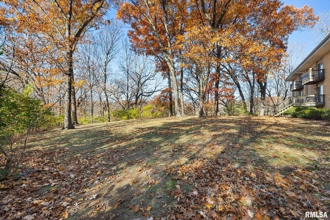 Building Photo - 2315 W Cannes Dr