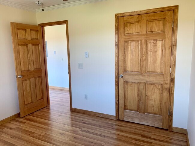 Bedroom Closet - 393 Peruville Rd