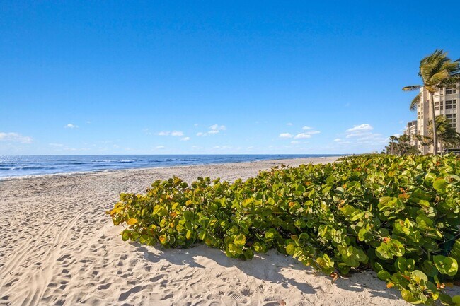 Building Photo - 4021 Gulf Shore Blvd N