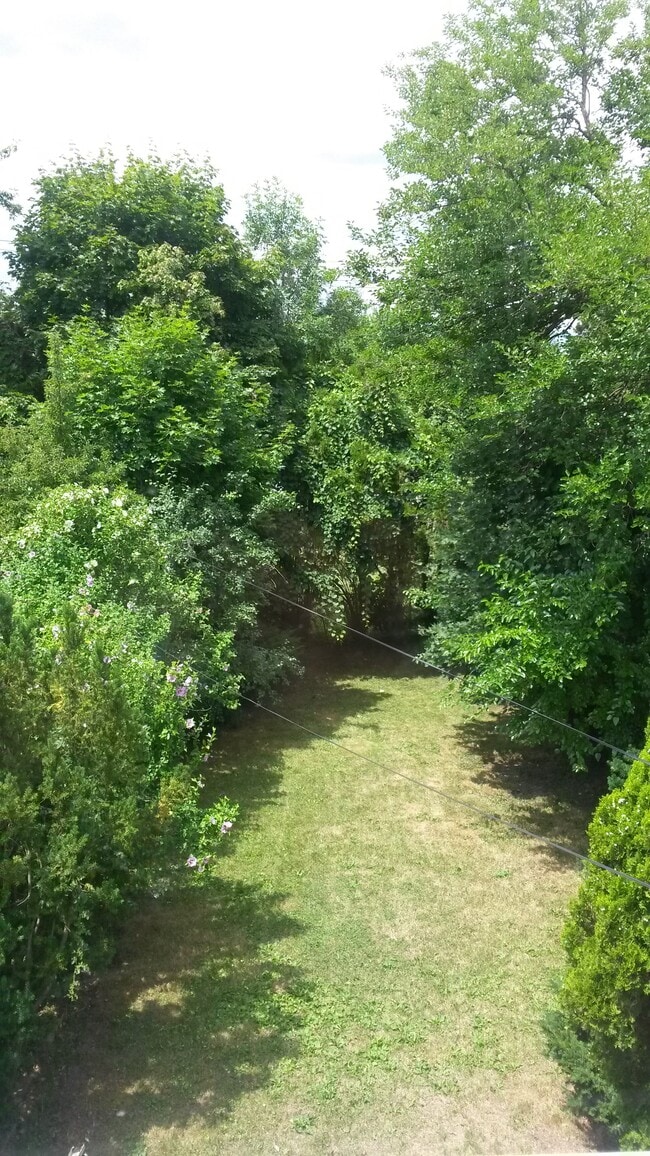 Backyard - 21865 Coolidge Highway
