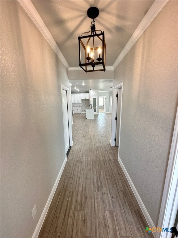 Foto del edificio - 1611 Sideoats Ln