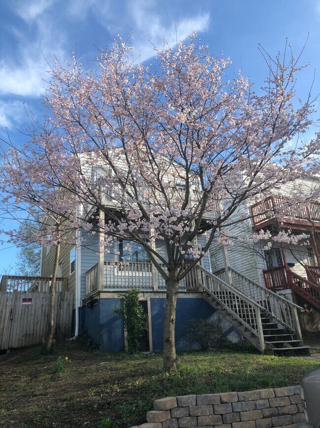 Foto del edificio - 2400 Perry St