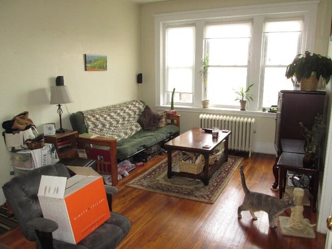 Photo - 220 Kelton St Apartment