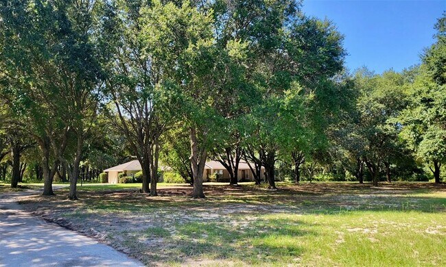 Building Photo - 2800 Hammock Grove Rd