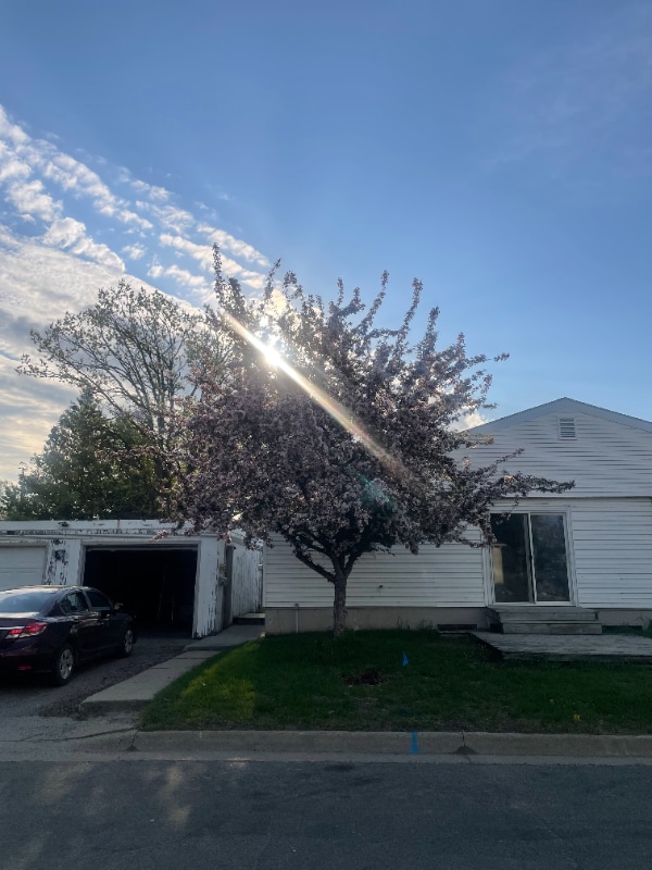 Building Photo - 2600 Calihan Ave NE