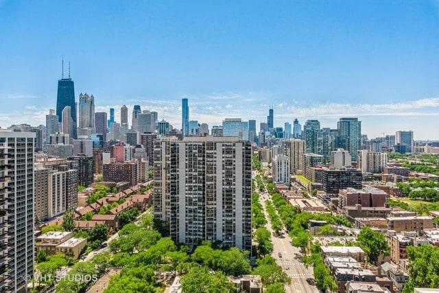 View From Apartment - 1460 N Sandburg Ter