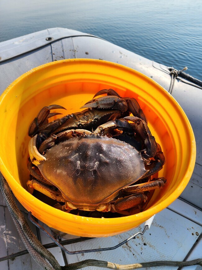 Foto del edificio - 19118 Soundview Dr NW