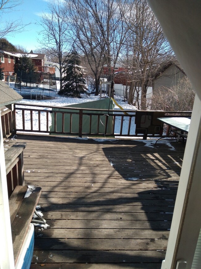 back deck - 217 Medary Ave S