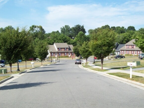 Primary Photo - Shady Knoll