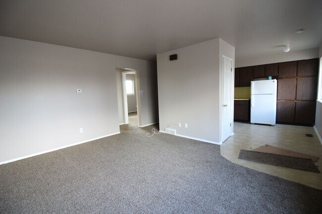 Building Photo - Willis 51043