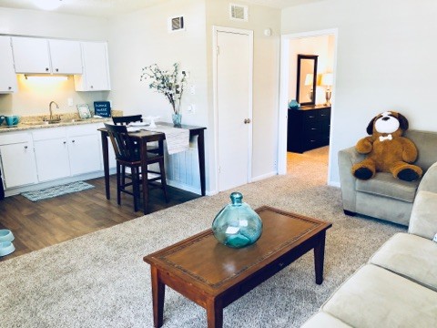 Living Room - Midtown 250