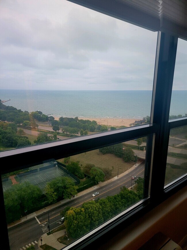 5100 N Marine Dr Unit 25B, Chicago, IL 60640 Condo for Rent in