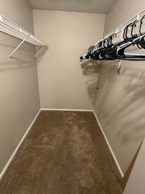 Building Photo - 3455 Countryside Blvd