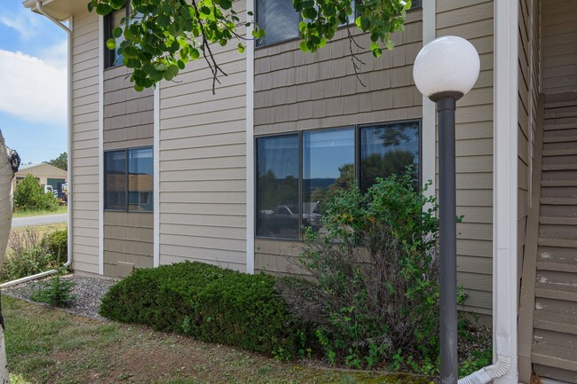 Foto del edificio - Beautiful 2 bedroom apartment in Woodland ...