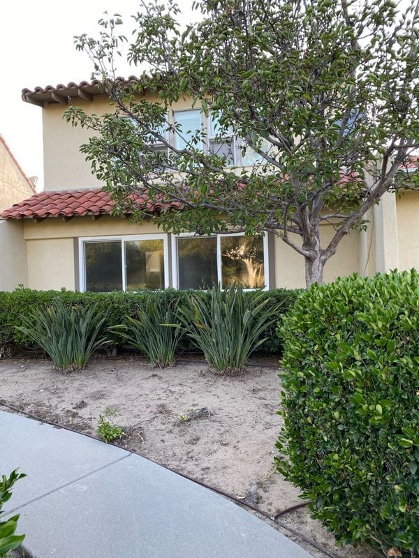 Primary Photo - 2323 Eastbluff Dr