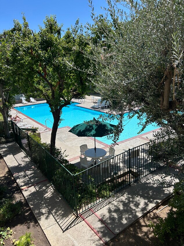 Pool - 5460 White Oak Ave