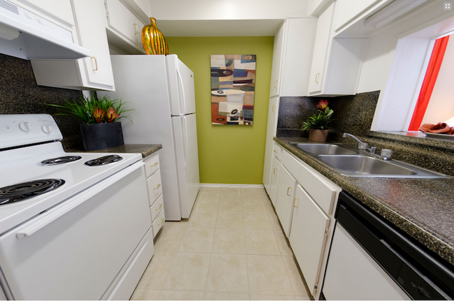 Building Photo - 4656 Wild Indigo St