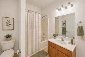 Interior Photo - Spring Creek Apartments