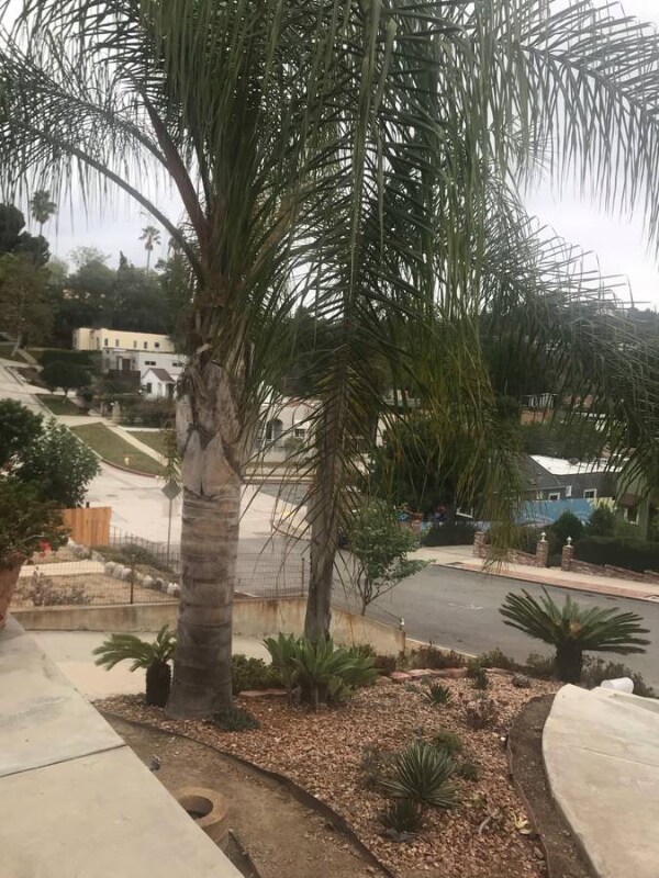 Building Photo - 1557 Linda Rosa Ave