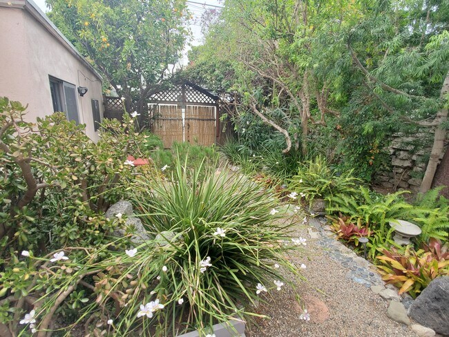 jardín trasero - 663 Marine St
