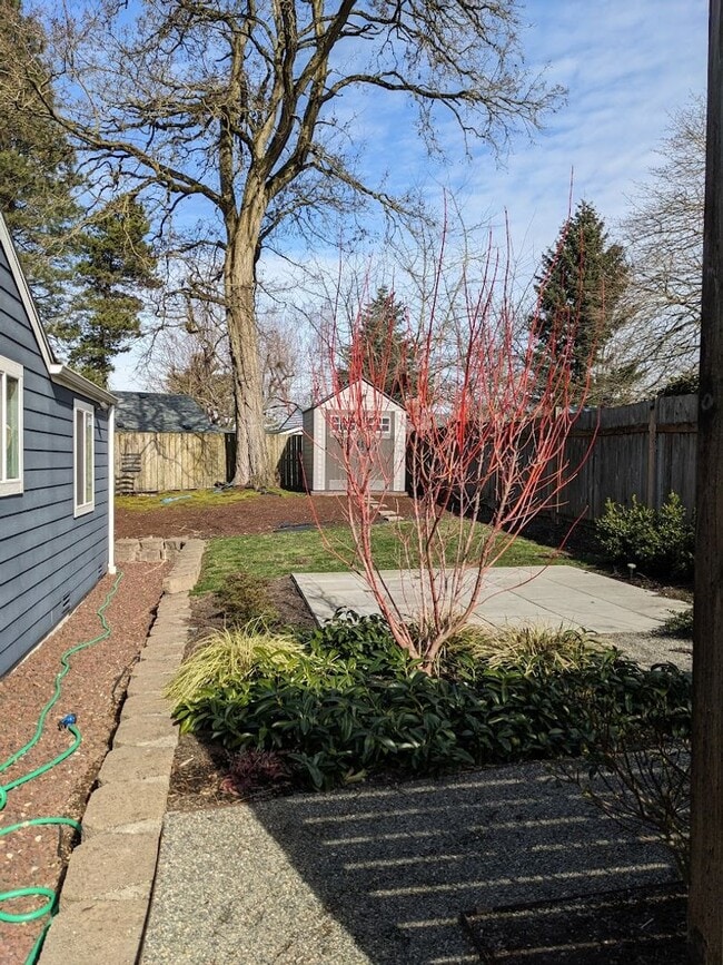 Building Photo - Lovely 3 Bedroom Skyway Rambler