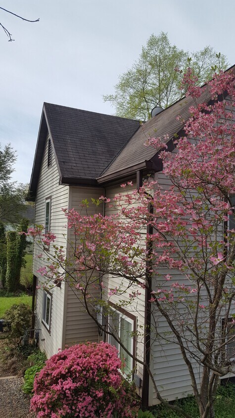 Foto principal - 1216 Grove St