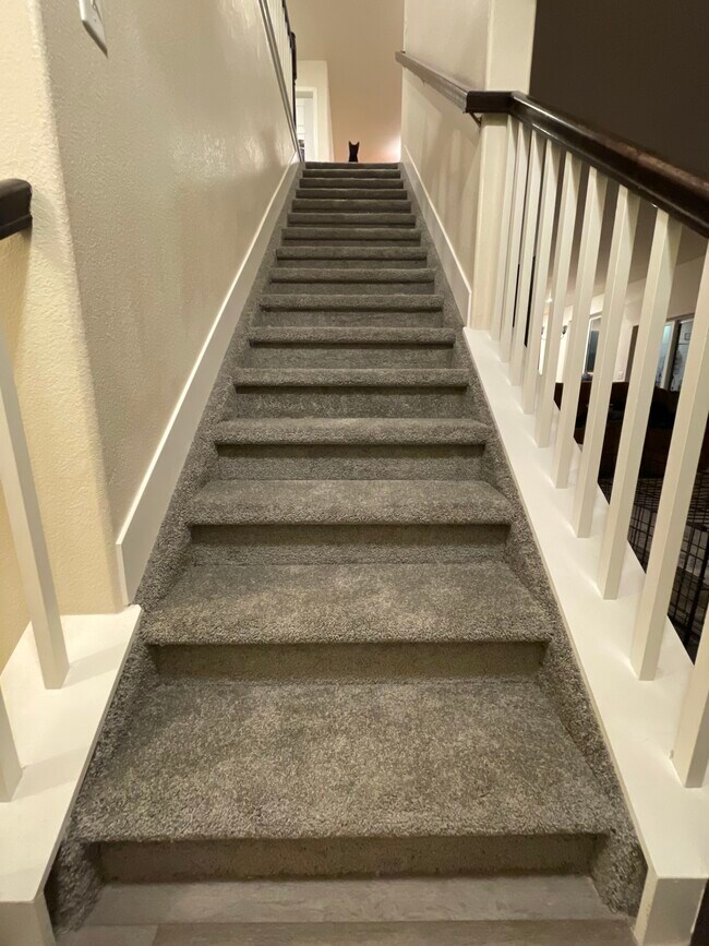 Foto del edificio - 9805 Granite Park Ln