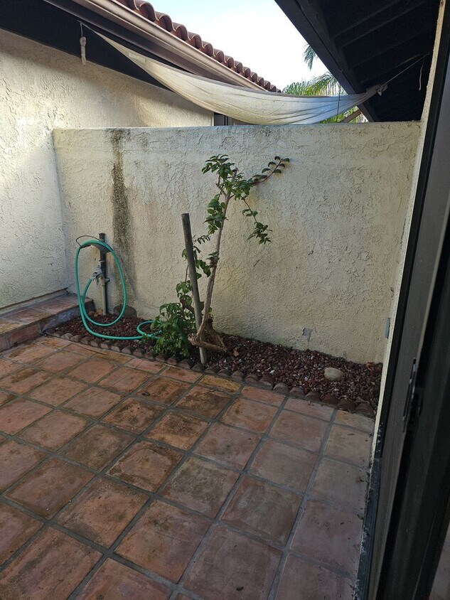 Foto del edificio - 3bd/2ba Mesa Circle Condo