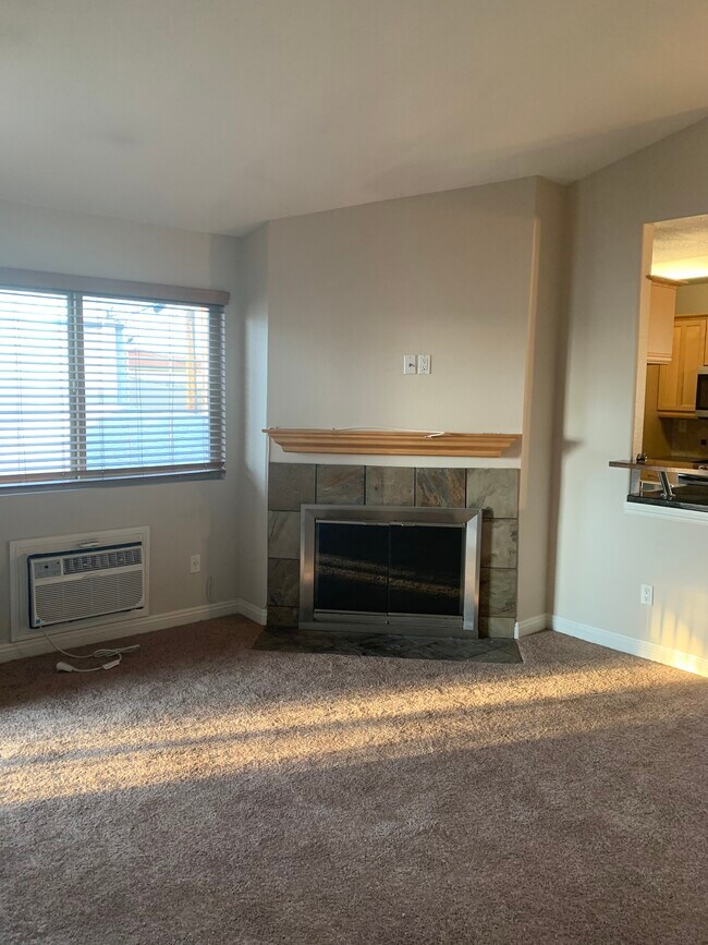 Fireplace - 4425 Illinois St
