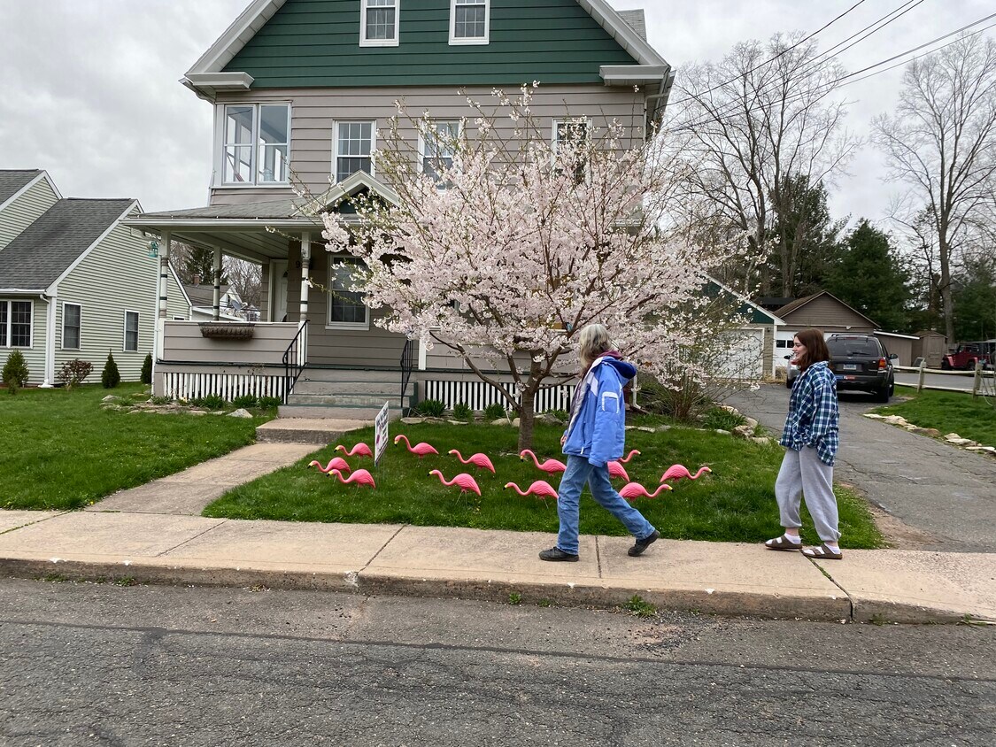 11 Starkweather St Unit Top 2 floors, Manchester, CT 06042 Apartments