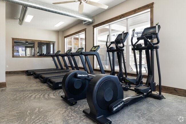 Gimnasio 1 - The Vue