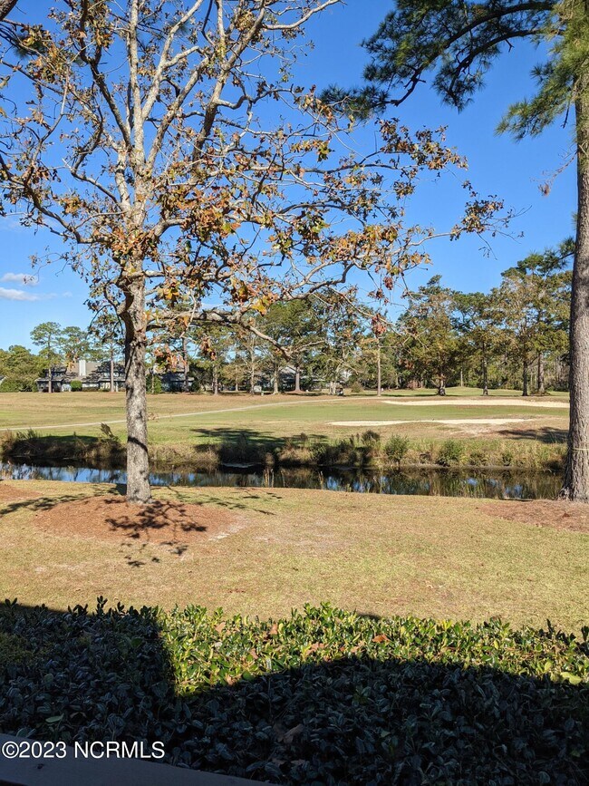 Building Photo - 323 Sandpiper Ln