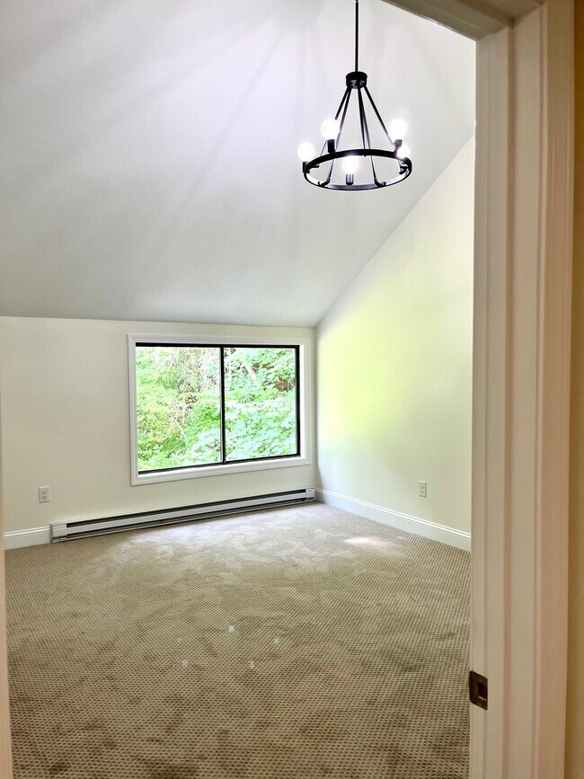 Bright and Sunny LARGE Main Bedroom with Vaulted Ceilings, Chandelier, and Staircase to Loft. - 326 Sterling St