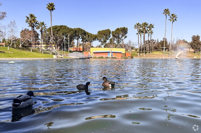 A lake in East Los Angeles is a local favorite spot.